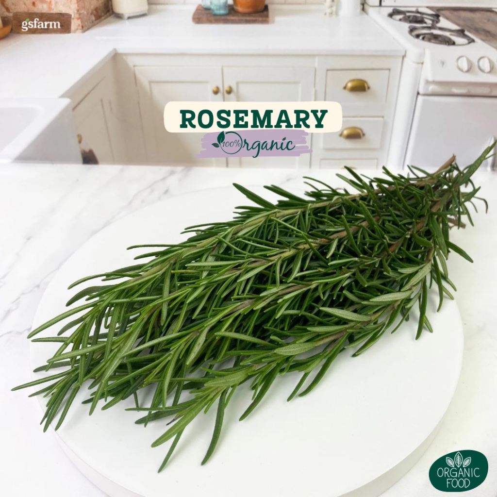 Daun Rosemary Organik / Rosemary fresh Segar / Dawn Rosemary Kemasan
