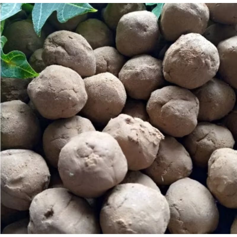 

Ampo Tanah Liat Putih Penghilang Pahit daun Pepaya atau pare isi 5 pcs gratis 1 pcs