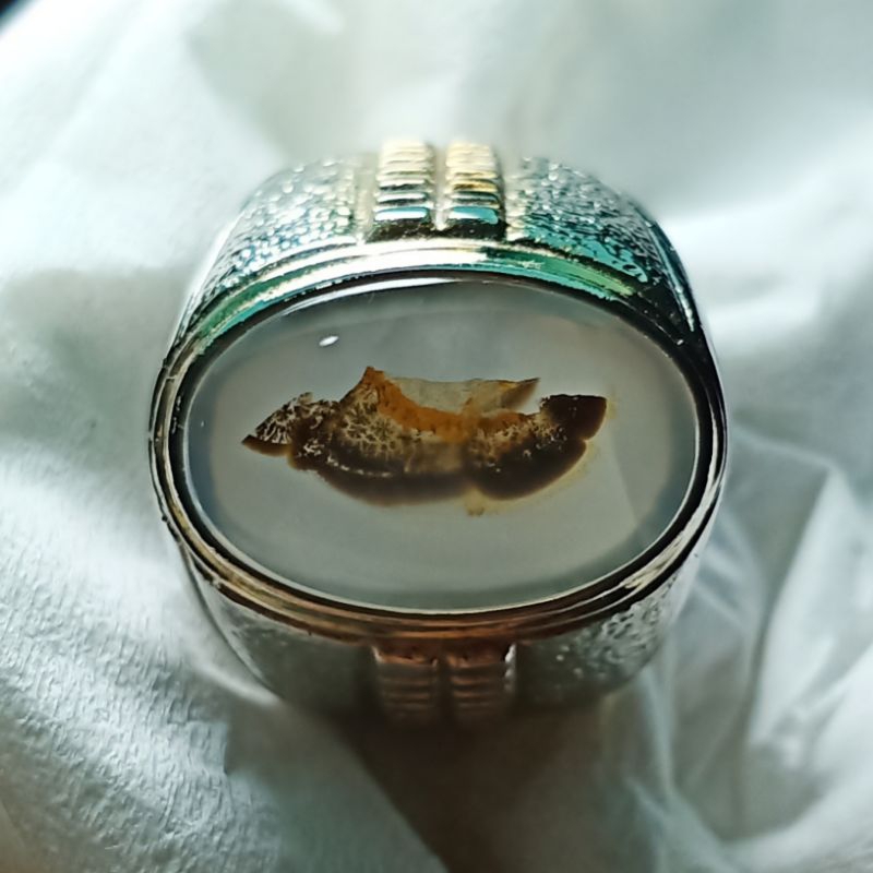 Batu Kristal Gambar Kapal - Dendrite Crystal Chalcedony. Bukan Batu Red Baron Pacitan Ijo Garut Blac