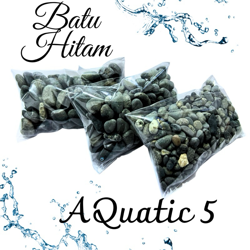 BATU KORAL HITAM BATU HITAM HIASAN DEKORASI AQUARIUM AQUASCAPE