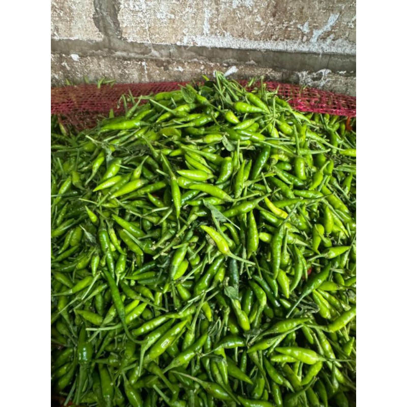 

Cabe Rawit Hijau 500 gram