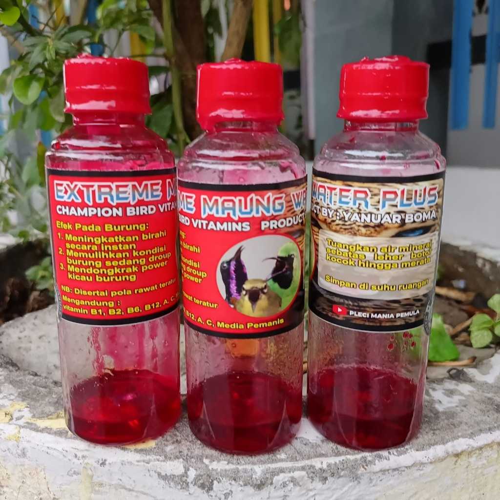 EXTREME MAUNG WATER PLUS DOSIS TINGGI UNTUK CUCAK IJO SOGON KONIN COLIBRI PLECI