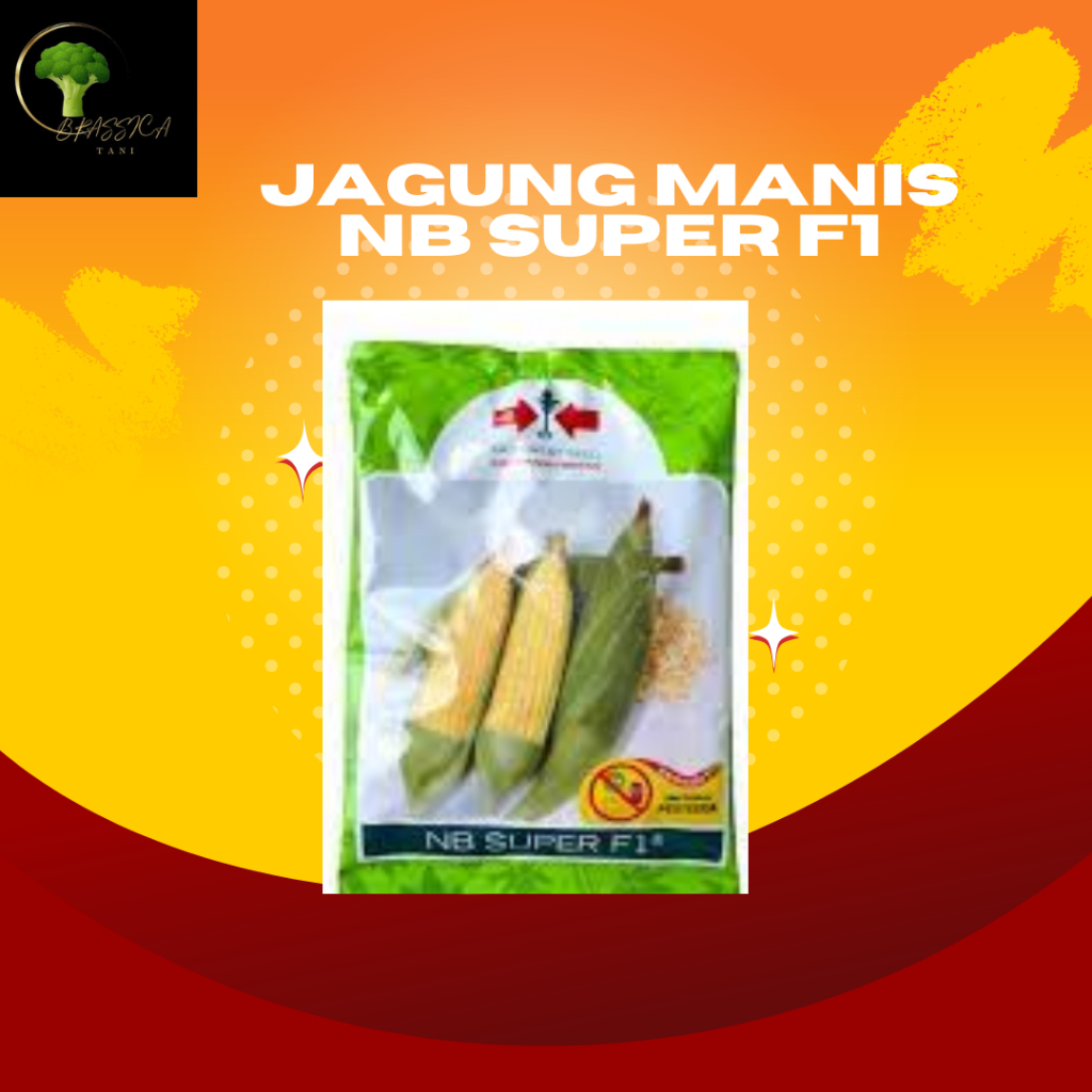 

Jagung Manis NB Super F1