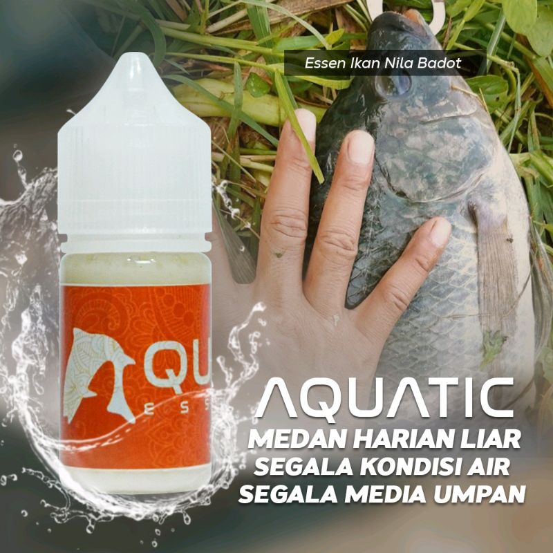 Essen Ikan Nila Babon Liar #Aquatic Essence-498