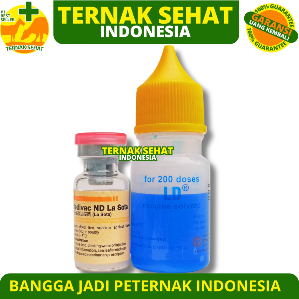 VAKSIN ND LASOTA DOSIS 200 EKOR + PELARUT MEDIVAC MEDION - Vaksin Ayam Tetes Mata Nd Lassota Tetelo