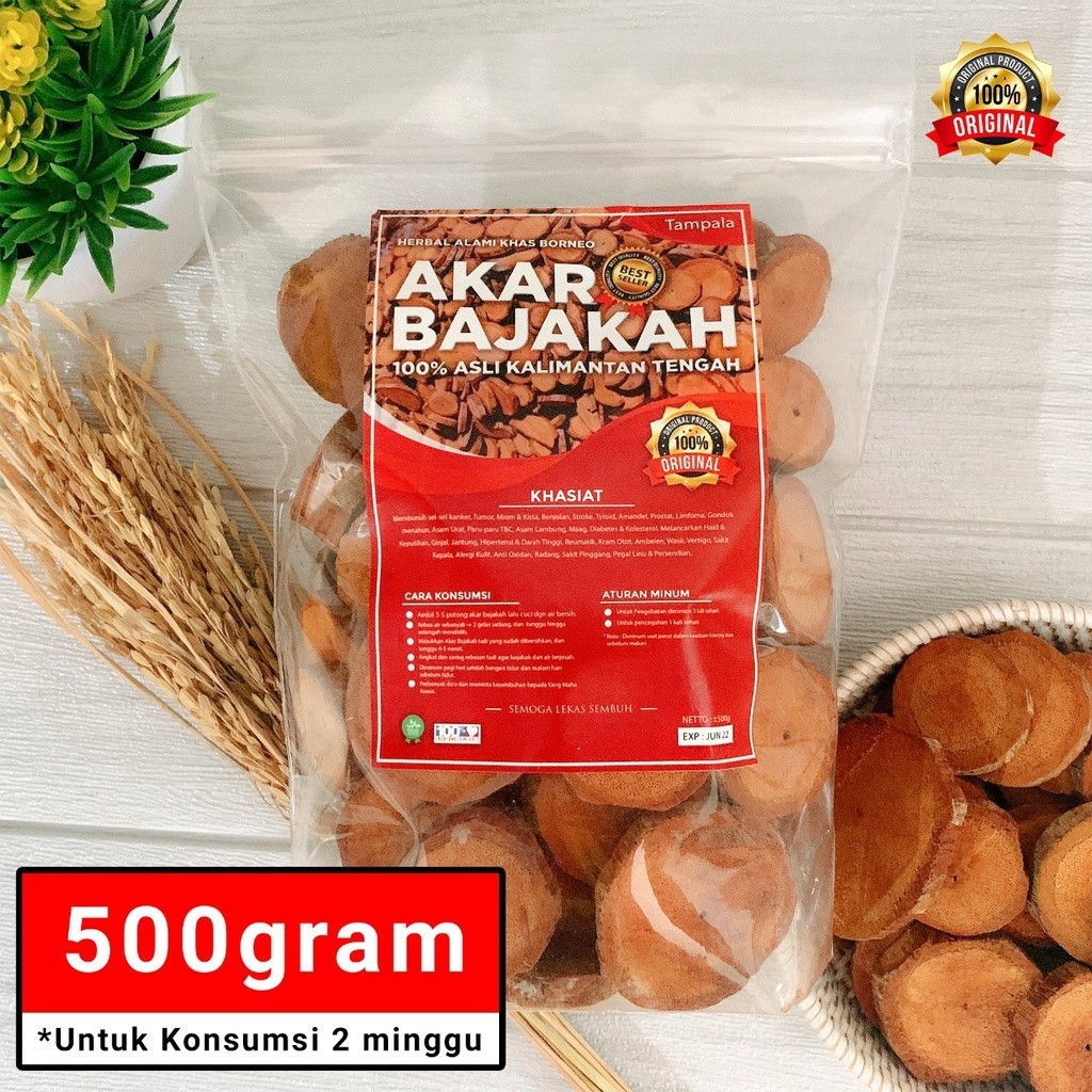 

PROMO COD Akar Bajakah Kalalawit Merah Asli Kalimantan 500gr