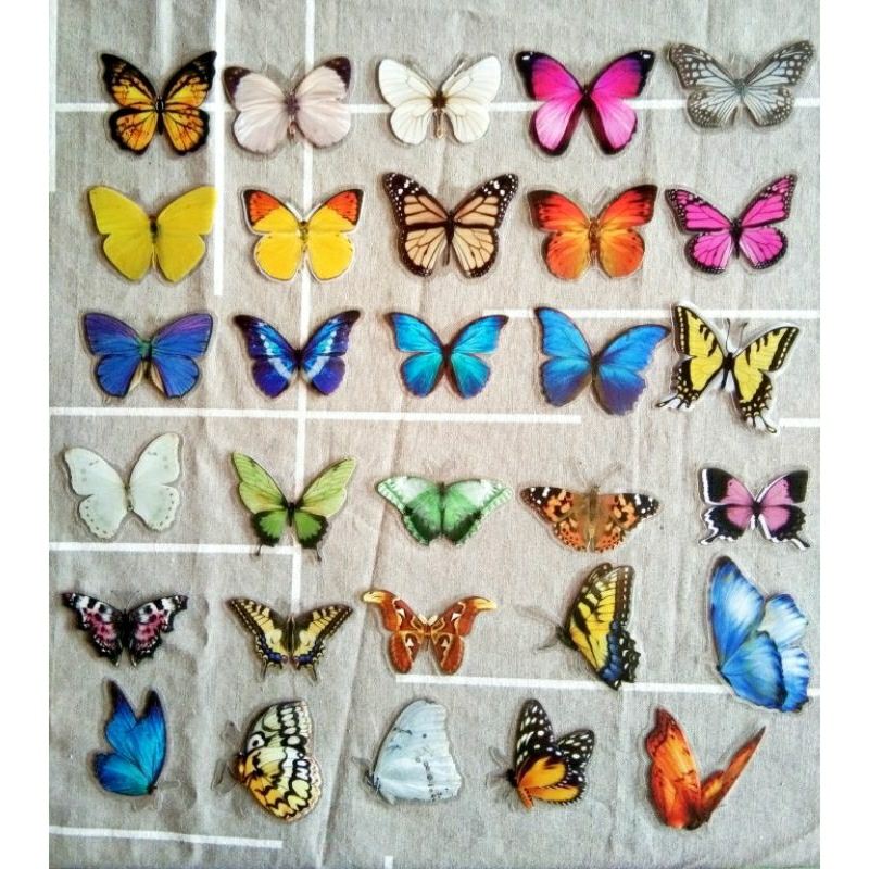

stiker kupu-kupu 30 pcs