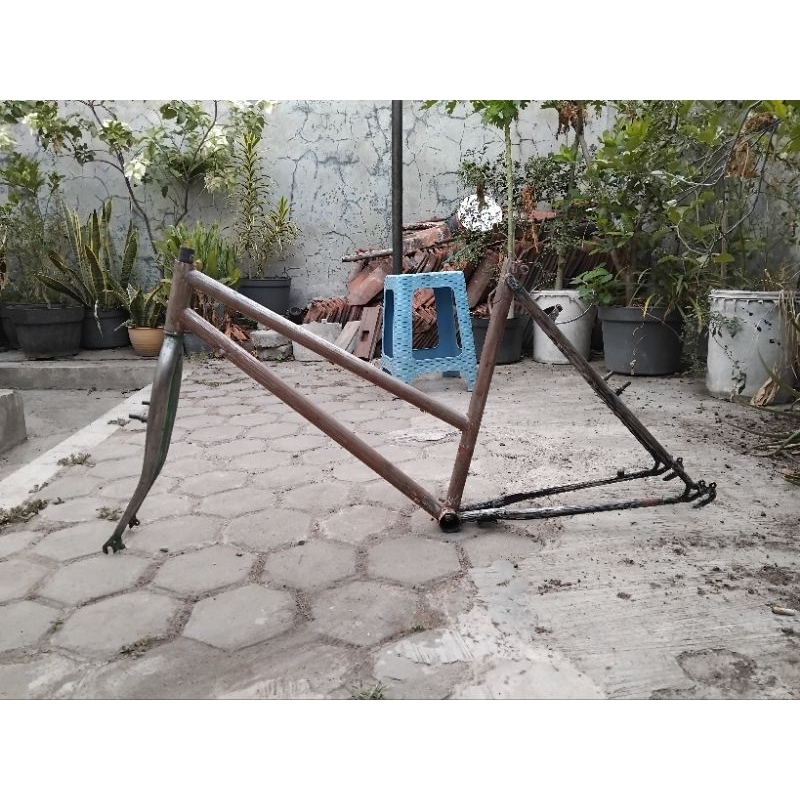 frame fork 26 federal lady