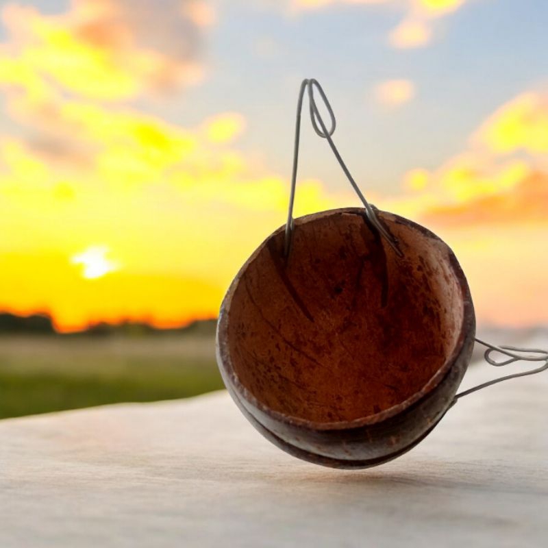Tempat minum/ makan batok kelapa