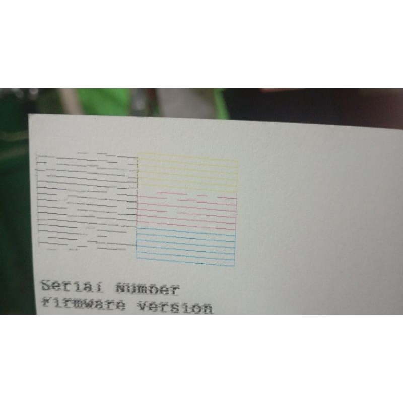 print head EPSON L310 minus