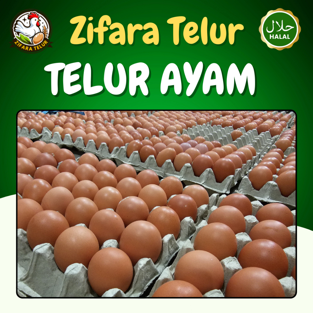 

RB Zifara Telur - 1 Tray Telur Ayam Negeri Omega isi 30 Butir PREMIUM
