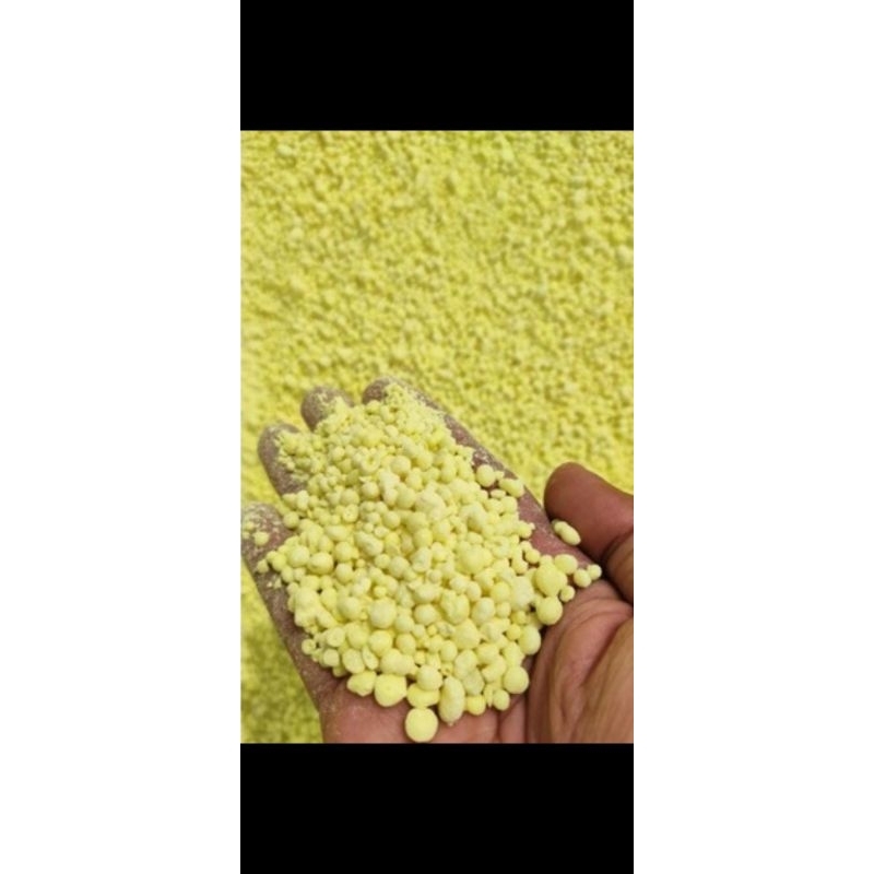 BELERANG/Sulfur (belerang butiran)