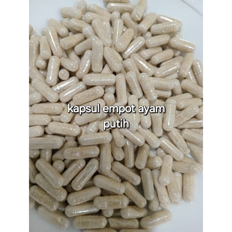[Ready Langsung Kirim] Empot Putih Kapsul Ecer Empot  Mpot Ayam Putih  Asli Original Biang Murni Ala