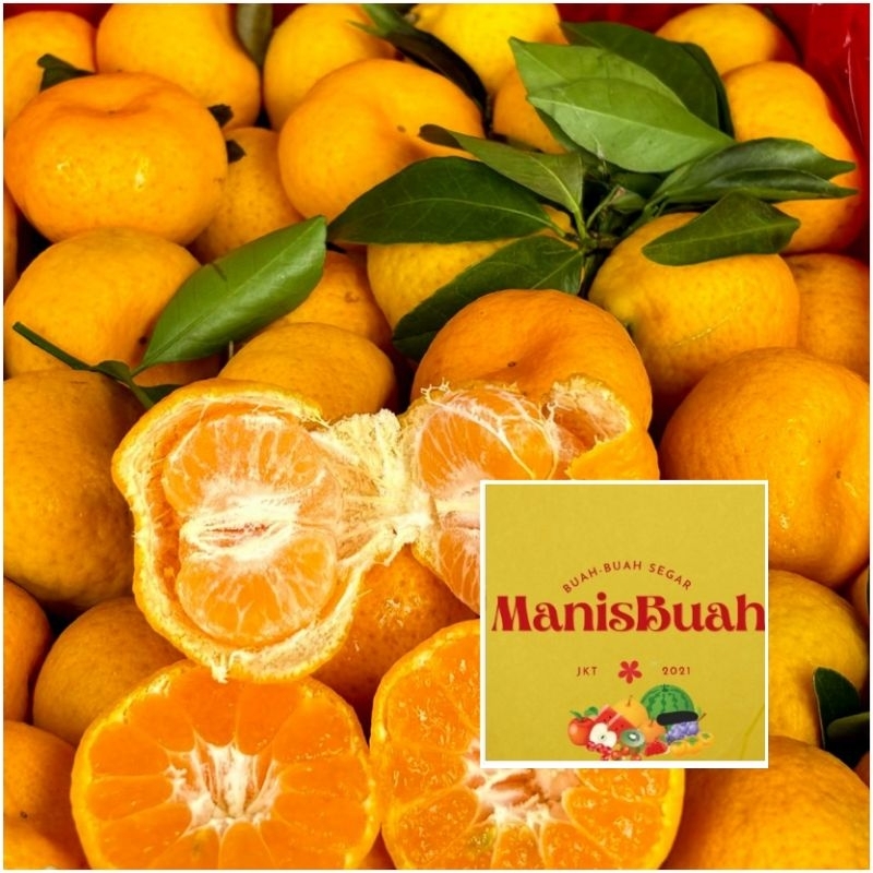 

jeruk santang daun fresh per keranjang