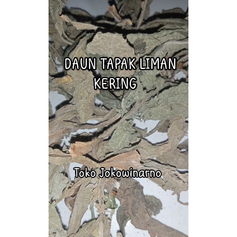 

[ 1.kg ] Daun Tapak Liman kering _Kiloan