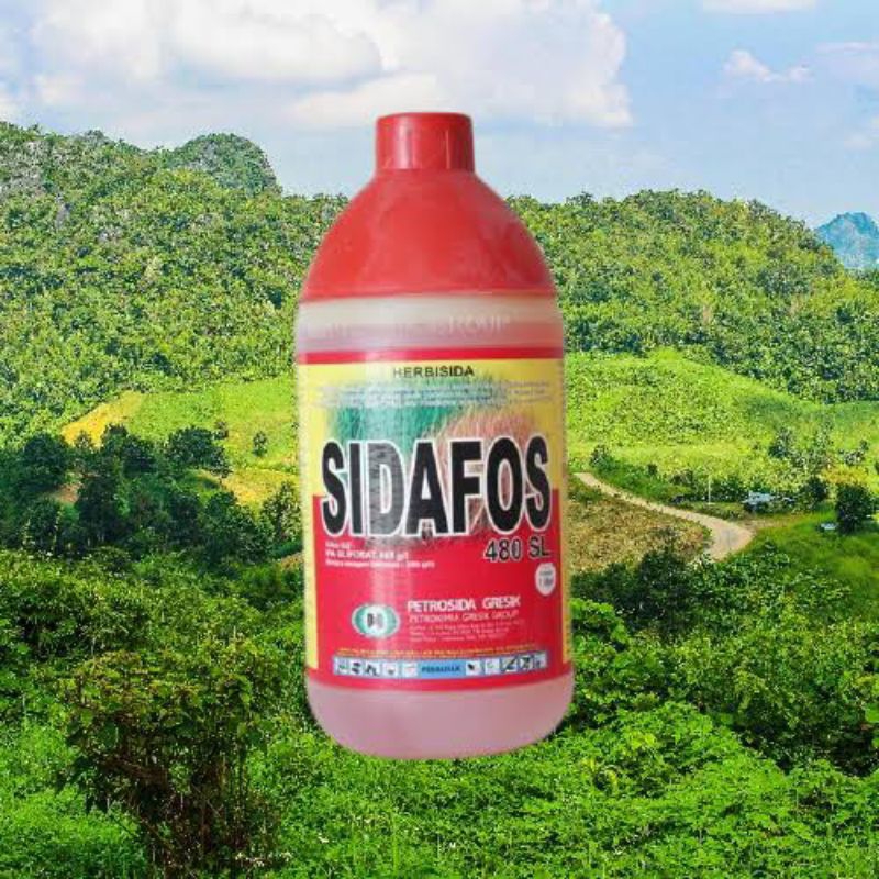 Herbisida Sidafos 480SL 1liter