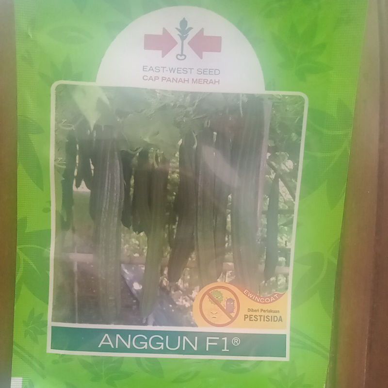 Benih oyong cap panah merah