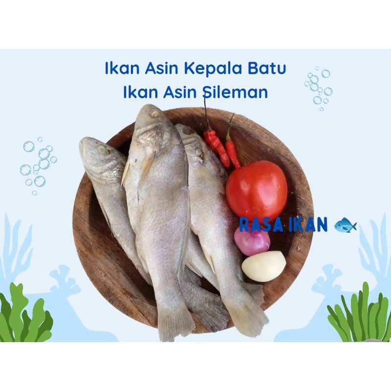 

Ikan Asin Sileman 1 Kg / Ikan Asin Kepala Batu Gurih, Lezat dan Nikmat