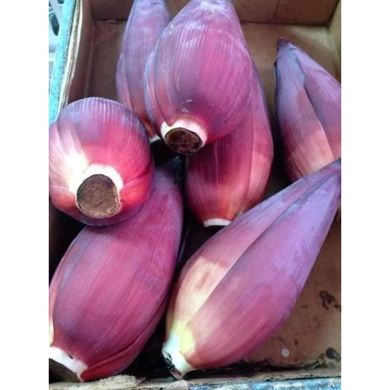 

JANTUNG PISANG KEPOK FRESH