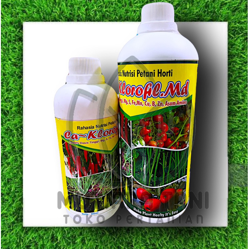 Pupuk Klorofil Plus Asam Amino Cabai Tomat dan Buah Ca - Klorofil Md 500ml dan 1 Liter