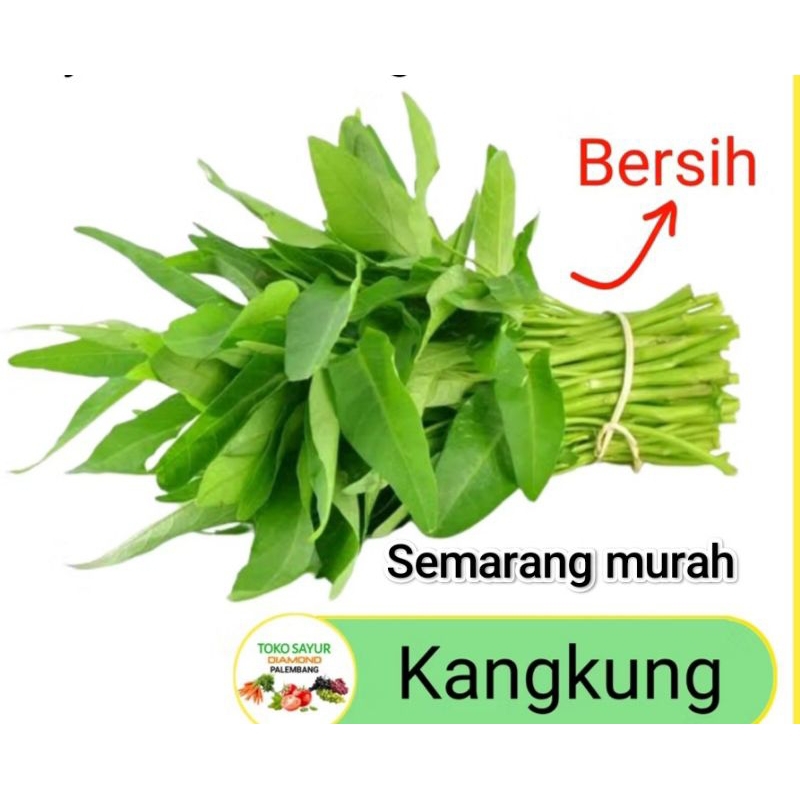 

Sayur Kangkung Semarang perikat