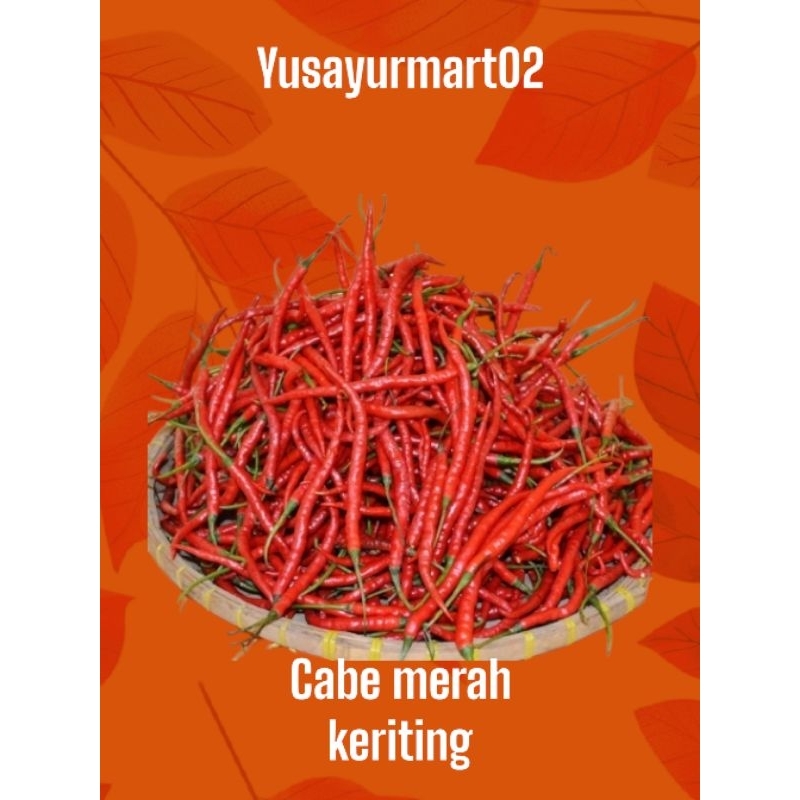 

cabe merah keriting