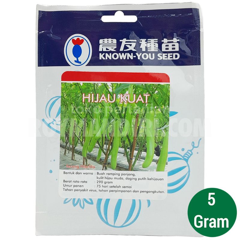 venih terong hijau kuat original