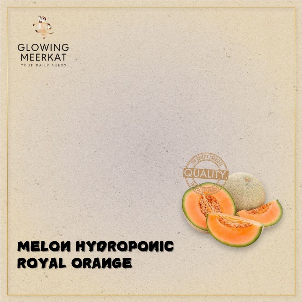 

Melon Hydroponic Premium Royal Orange