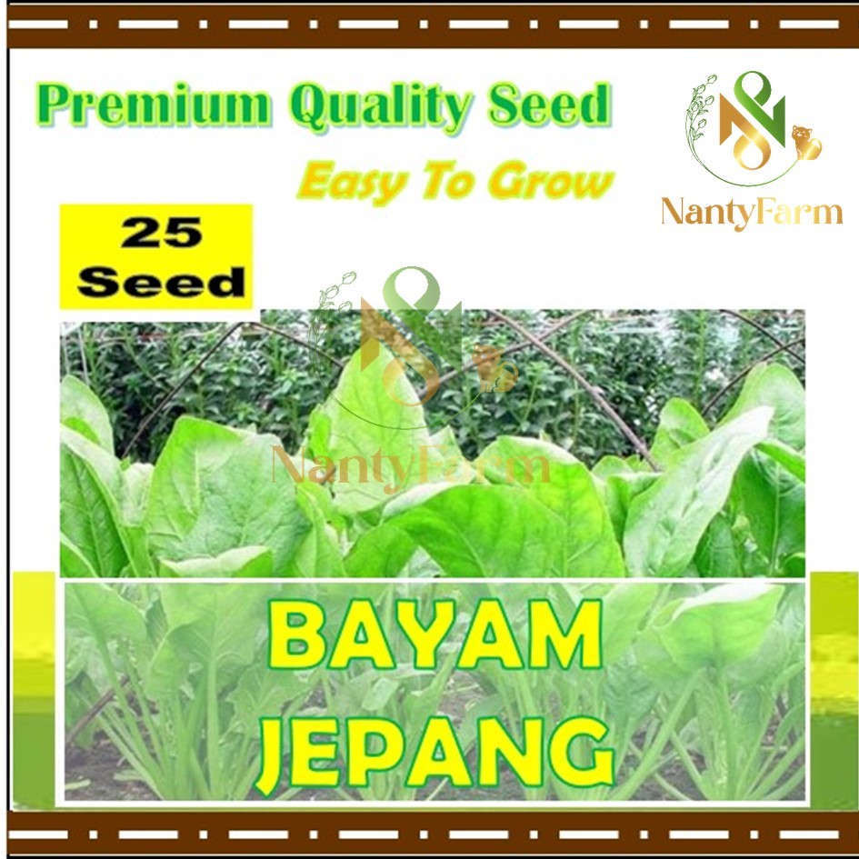 25 Biji Benih Bayam Jepang Sayuran Daun Bayam Jepang Benih Sayur Berkualitas