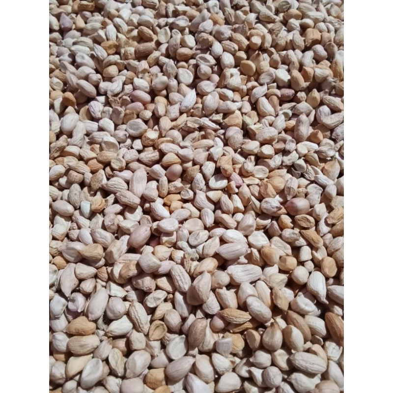 

KACANG TANAH PERTANIAN KUPAS BERSIH 1 KG