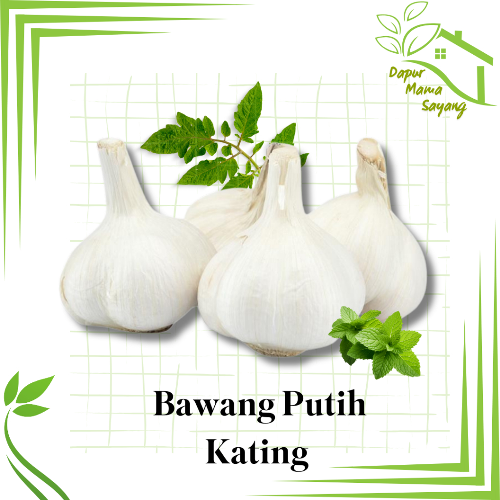 

Bawang Putih / bawang sinco / bawang kating / bawang premium / Sidoarjo Surabaya