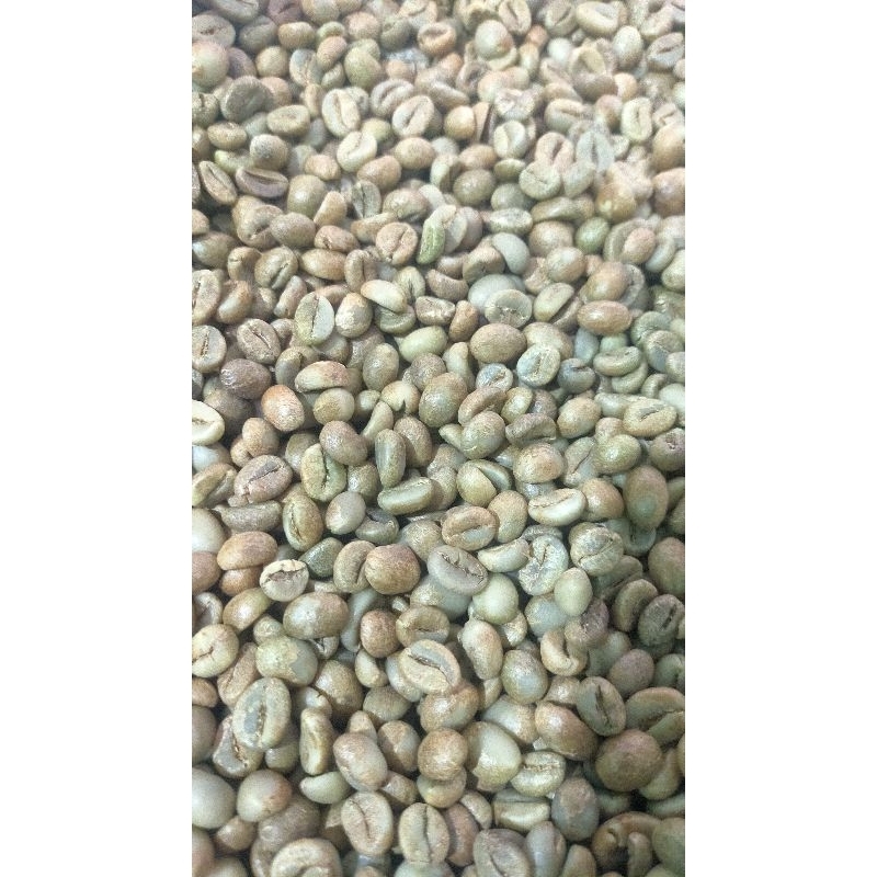 

BIJI KOPI MENTAH/GREEN BEAN ROBUSTA TEMANGGUNG GRADE 1