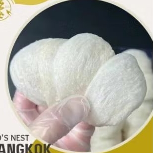 

sarang burung yen o mangkok kualitas super