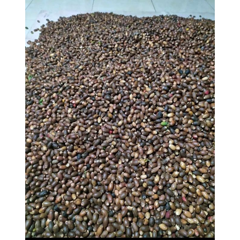 

MELINJO KUPAS SUPER 1 KG