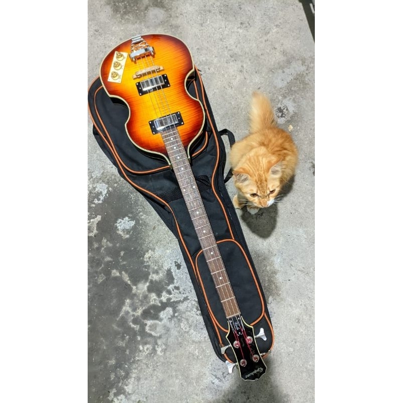 bass original epiphone model violin