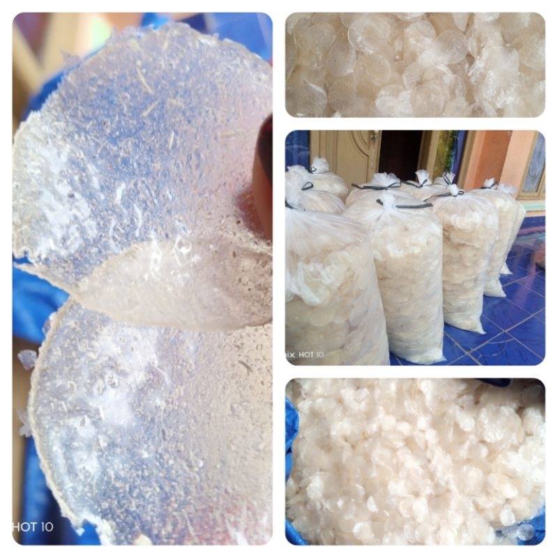 

Keripik Kaca Mentah Bulat siap Olah @ 1kg produksi langsung