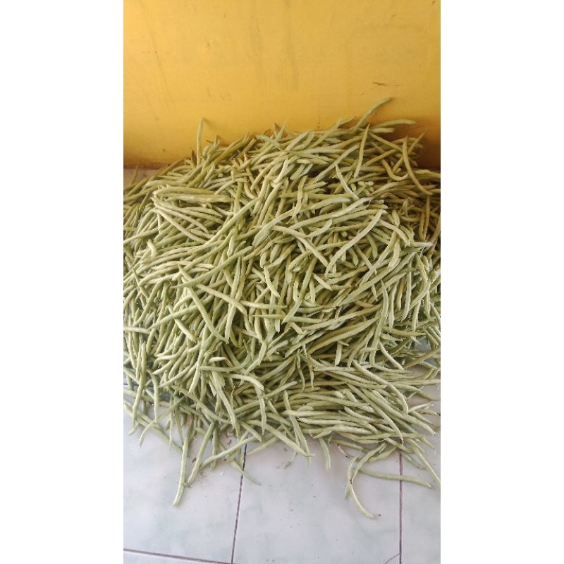 

buncis sayuran
