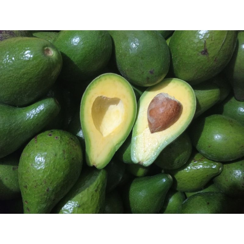 

Alpukat mentega Lampung grade B isi 4 - 5 /¹kg