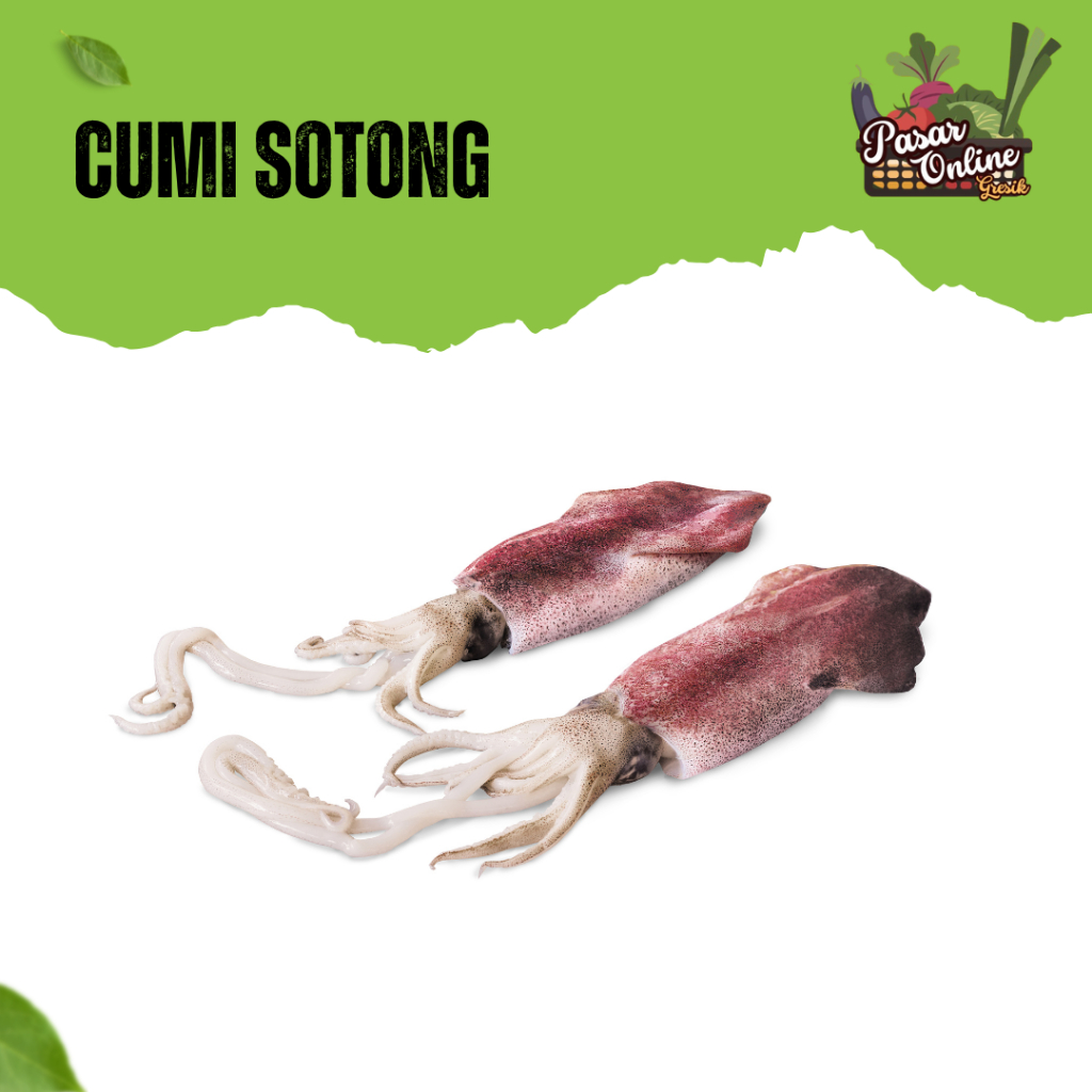 

CUMI SOTONG FRESH - 250GR