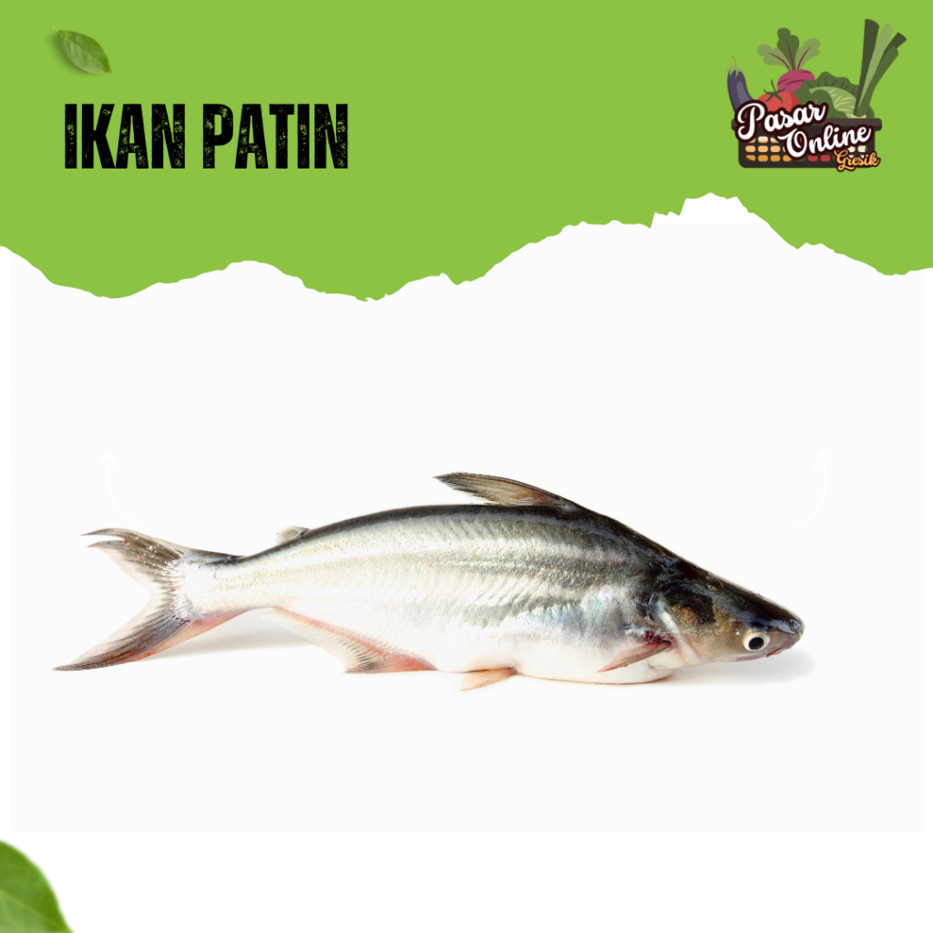 

IKAN PATIN FRESH - 500GR