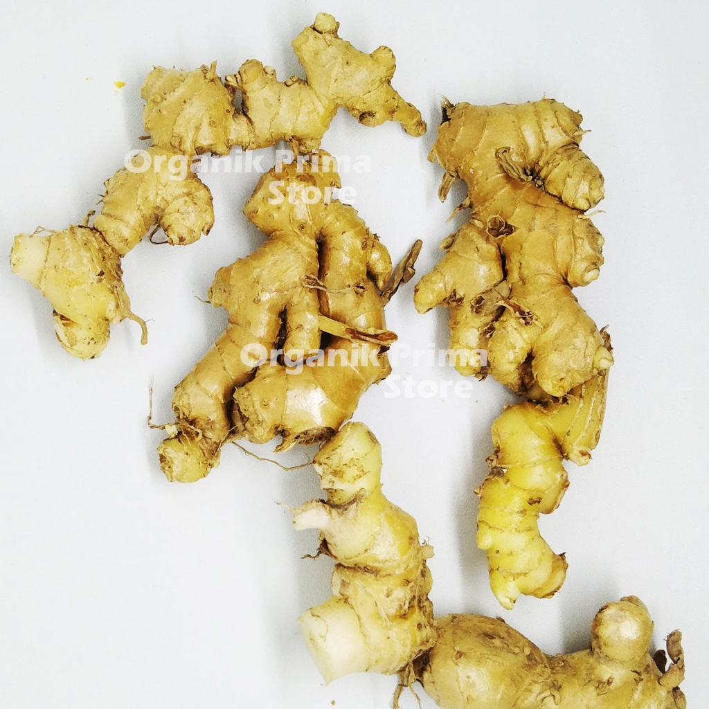 

Lempuyang Emprit Segar 1kg Wangi Asli dan Organik