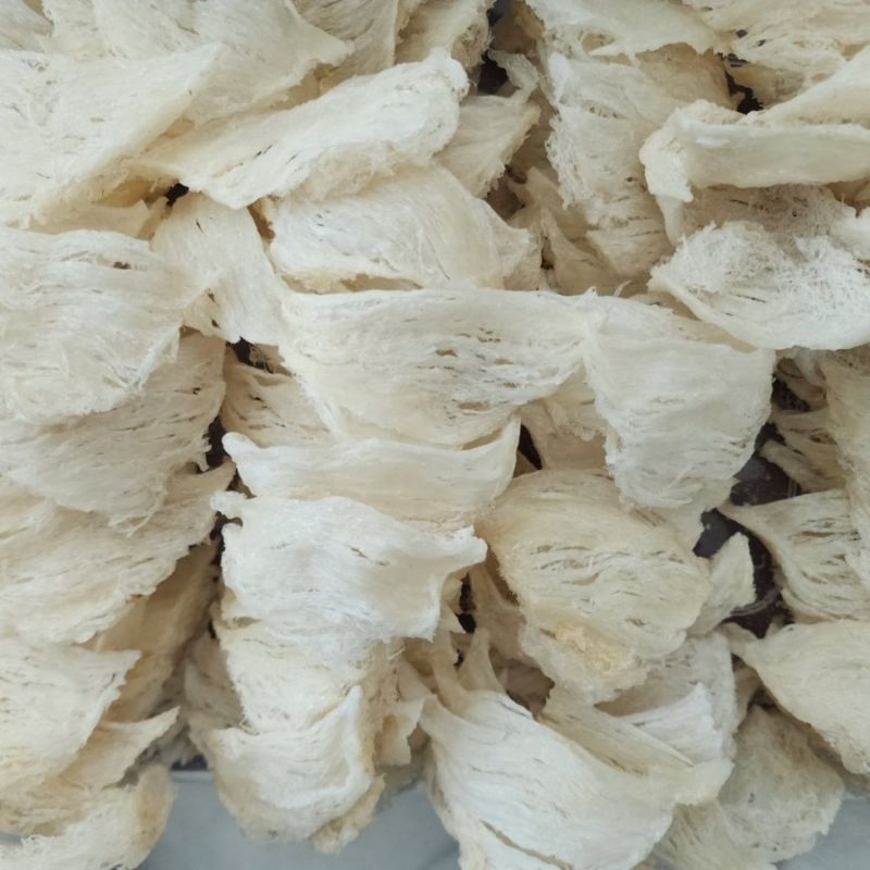 

50 Gram Sarang Burung Walet Asli 100% Sudah bersih