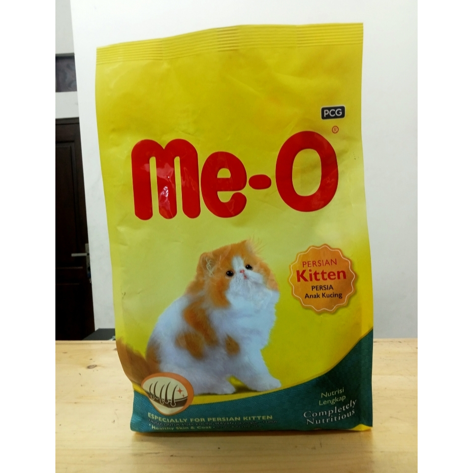 Meo Kitten Persian