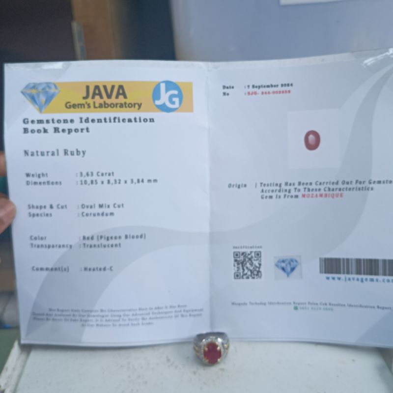 Ruby Mozambique Blood Pigeon.