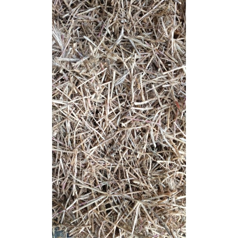 

akar alang alang cacah kering 500gram