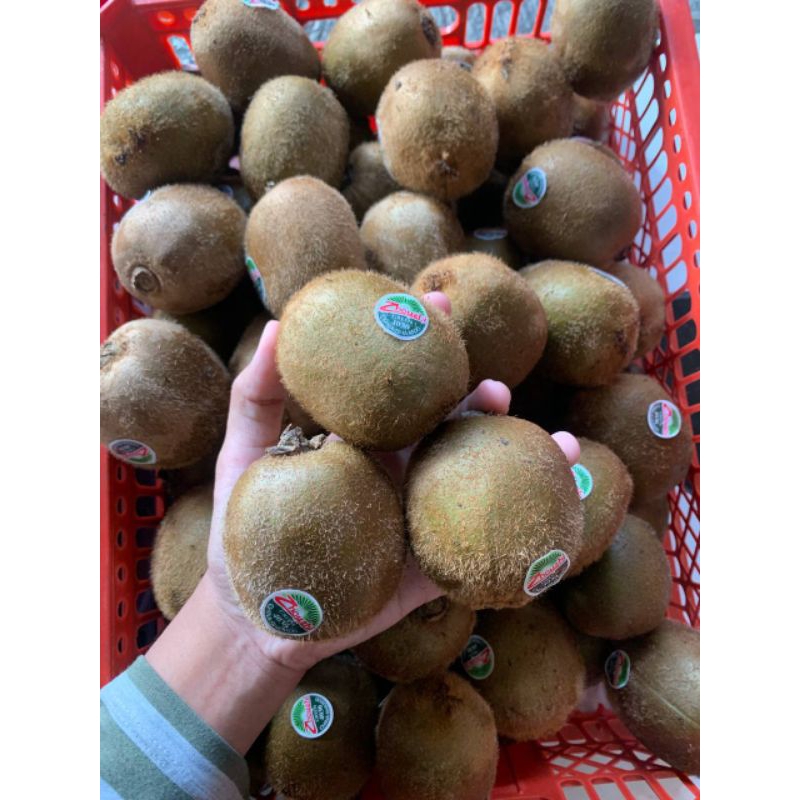 

Kiwi Hijau Perbiji