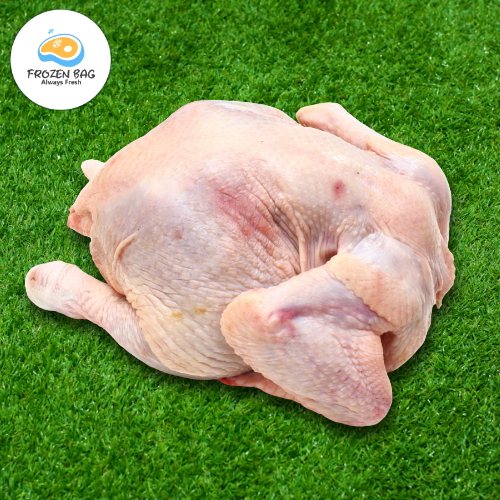 

DAGING AYAM UTUH 1 Kg | AYAM KARKAS | AYAM NEGERI