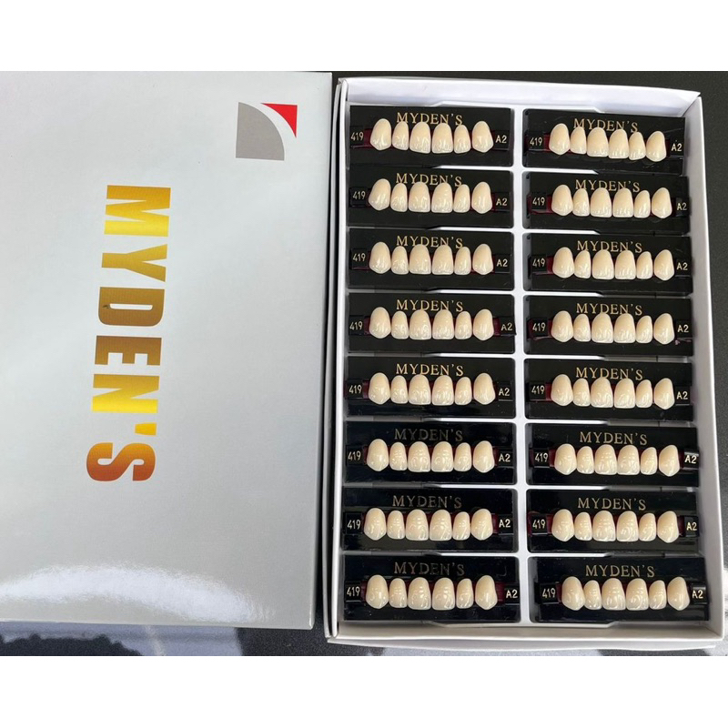 gigi palsu mydens isi 16 papan (depan atas).terjamin kuat