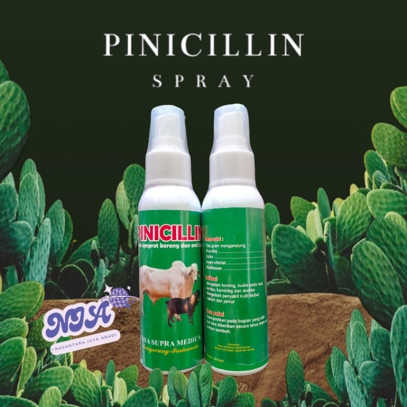 PINICILIN OBAT SEMPROT KORENG SAPI MENGOBATI PMK, SCABIES, GUDIX BOROKANTI LALAT SAPI KAMBING 100ML