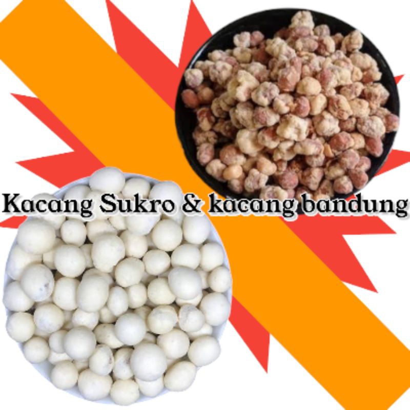 

kacang Sukro / kacang Shanghai - kacang bandung camilan kacang kemasan 1kg / 500gram / 250gram